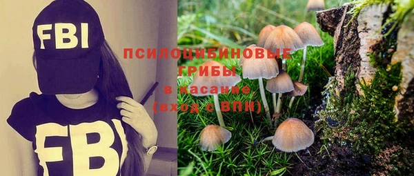 стаф Алексин