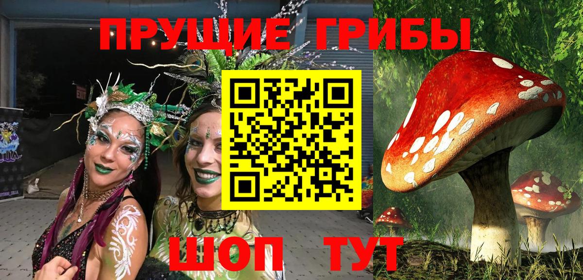 Ливны  продажа наркотиков  Вход с VPN  Галлюциногенные грибы Magic Shrooms 