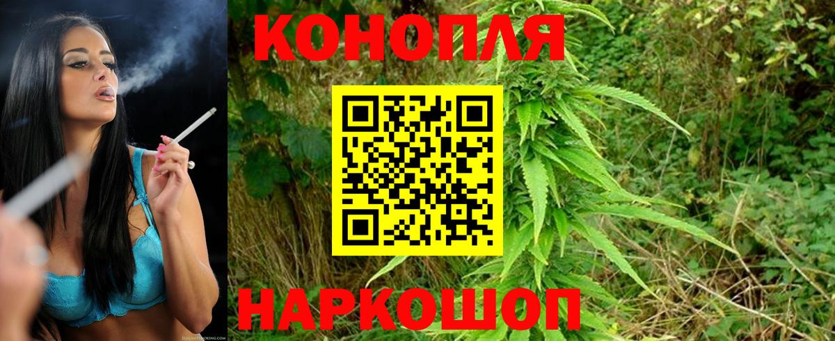 Шишки марихуана Amnesia Ливны